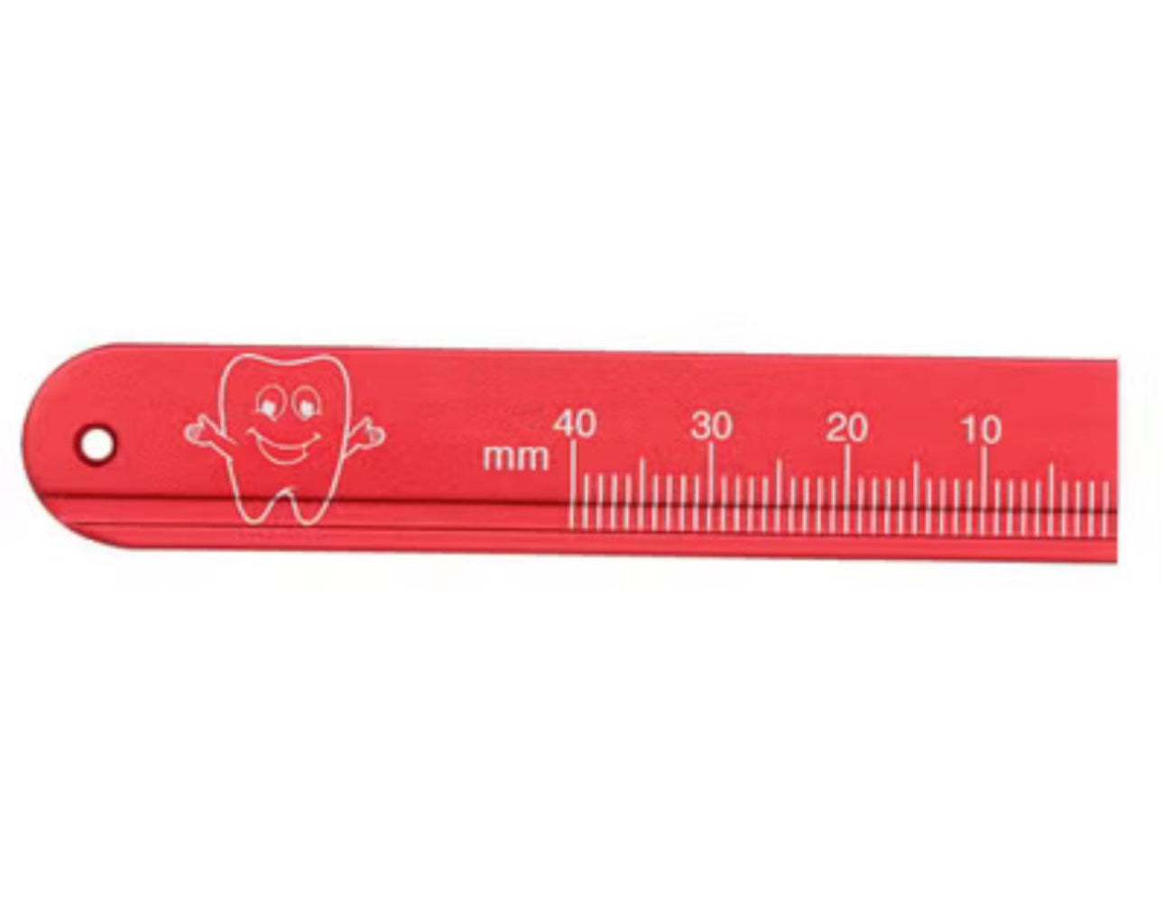Endo ruler