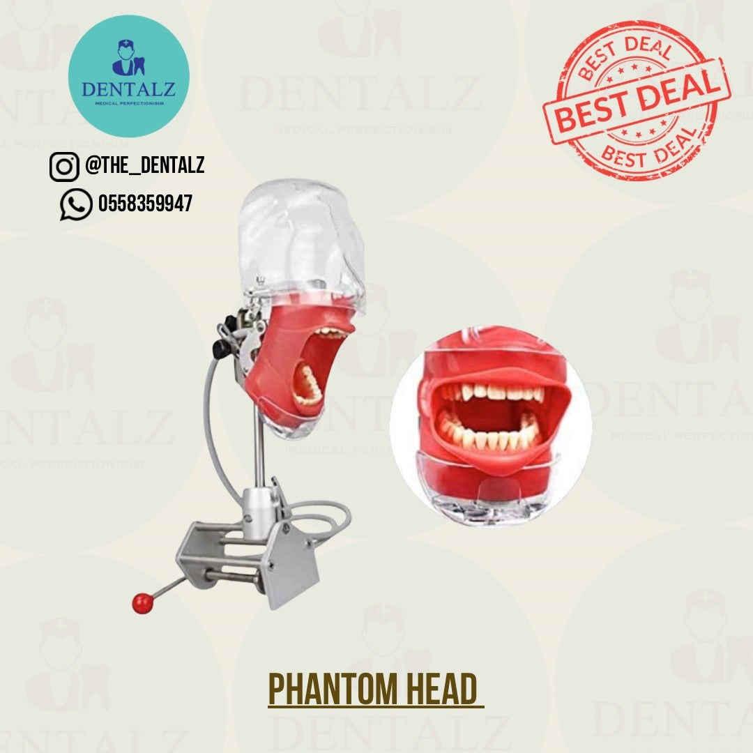 Phantom head